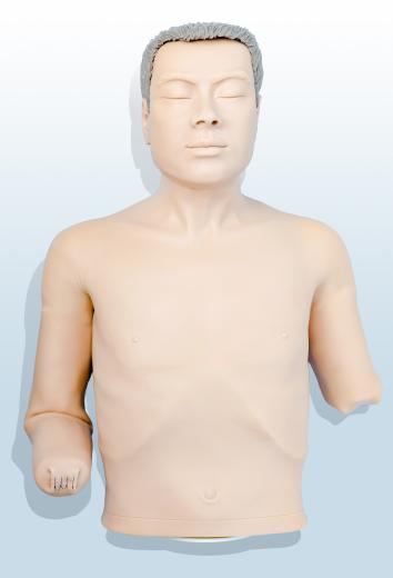 高級高位包紮模型