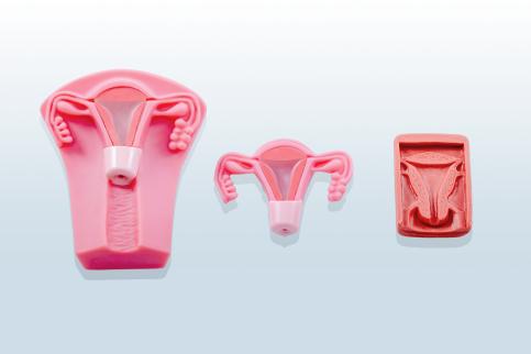 宮內節育器置取訓練套裝